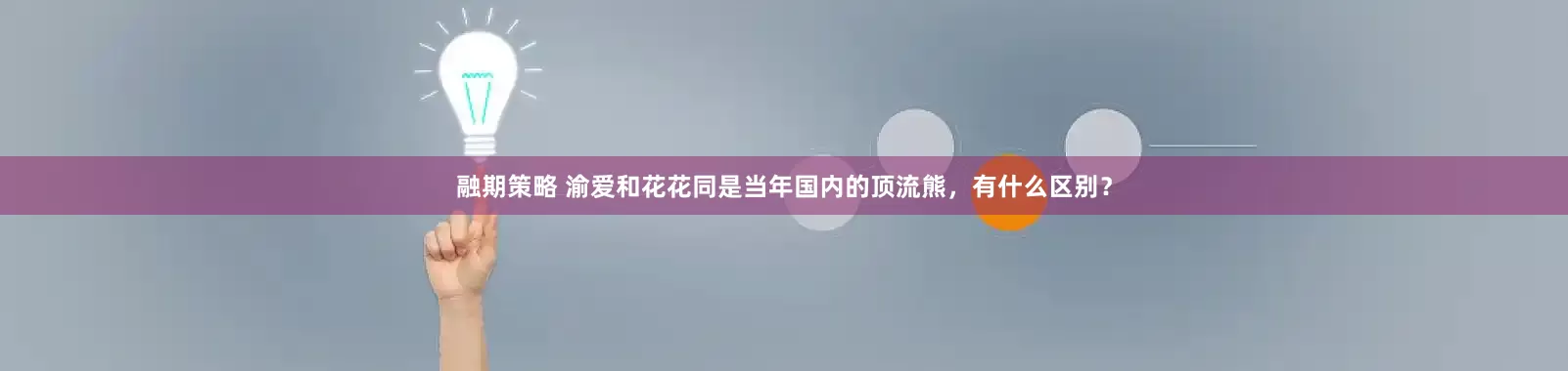 融期策略 渝爱和花花同是当年国内的顶流熊，有什么区别？